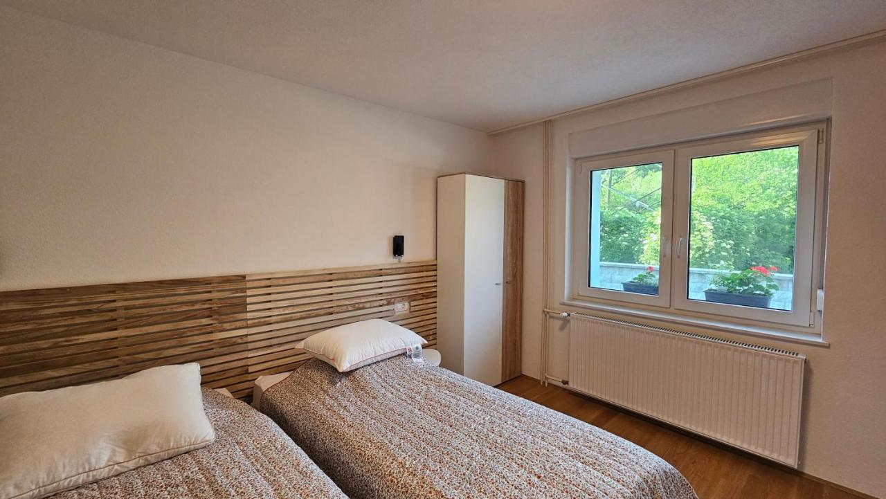Apartma Sava-Stol Jesenice Exterior foto
